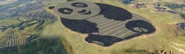 ���ð����硱 ����������è���ι����վ��ɽ�����