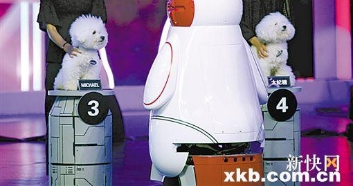 Ȥζ�����д�������֪ʶ, ������!��δ�����ڶ�����������