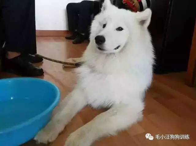 ��ĦҮ��Ի��1���� ����Ѱ����:���Ǳ�������