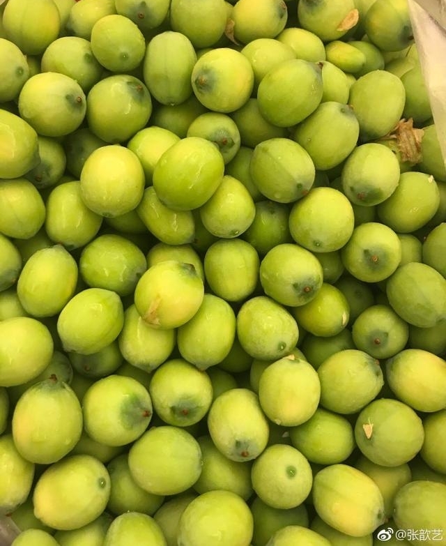 ������������ദ�����ף����ѣ����������ڱ����������