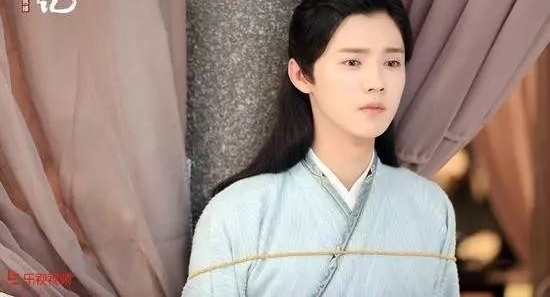 ����IP����������IP�ı�Ұ��������ʧȥ����������Ӱ����ҵ��Σ��