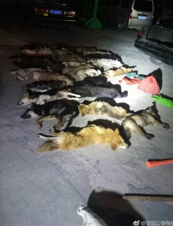 ����һҹ����25���� ������������