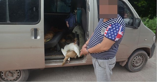 ũ���˵���Щ˼�룬Ҫ���ã������պ���������һ�£��Լ�������û