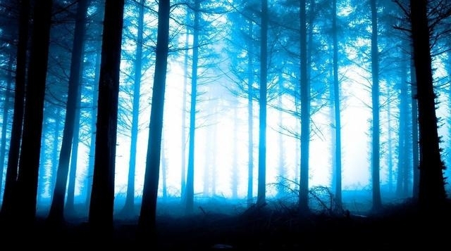 ���£����ߵ�ɽ�壬һ������������ʧ��������֣�