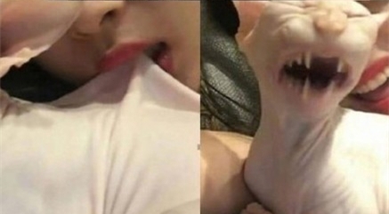 ѩ���ӦŰè���飺����ЦЦ��