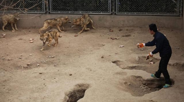 ʵ��������µ�������, Ⱥ�ǿ������Ǿ�＂��＂, �������Ⱦ���