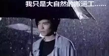 ����Ū������������Ԥ������·��ԭ����������Ԥ��Ҫ������