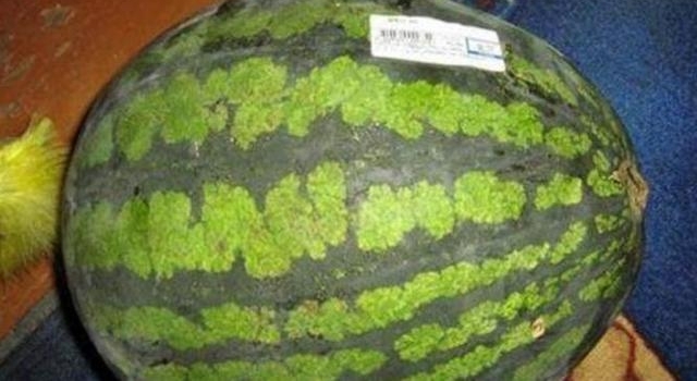 �������Լ�����䣬����һ��ǰ������ϣ��п��������˲������ţ�