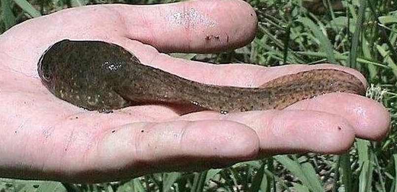 ��ũ������Ƴ���ʳ�������˷��׷�����ǵ�28Ԫһ��