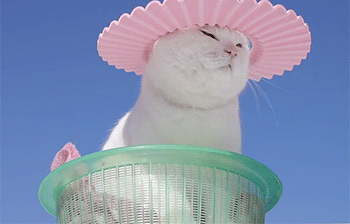 ����Ū������������Ԥ������·��ԭ����������Ԥ��Ҫ������