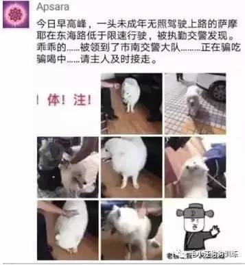 ��ĦҮ��Ի��1���� ����Ѱ����:���Ǳ�������