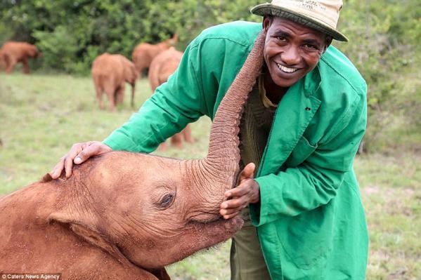 ����С�������ิ�����˳ɹ¶� ��Ⱥ���������Ա