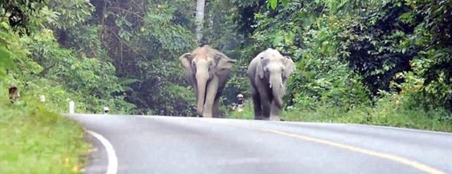 ����Ⱥ��ŭΧ��һ����ͨ�ˣ�֪��ԭ���ž����Ǹ��˴�������