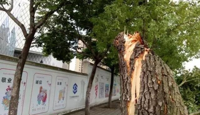 ��紵��ʮ¥���� ס��һ������������