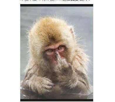 ź׬ˣ⾩ս2Ƿۣݼ糱