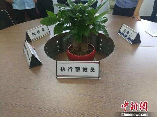 浙江法院全面启动院所合作机制 助推基本解决执行难
