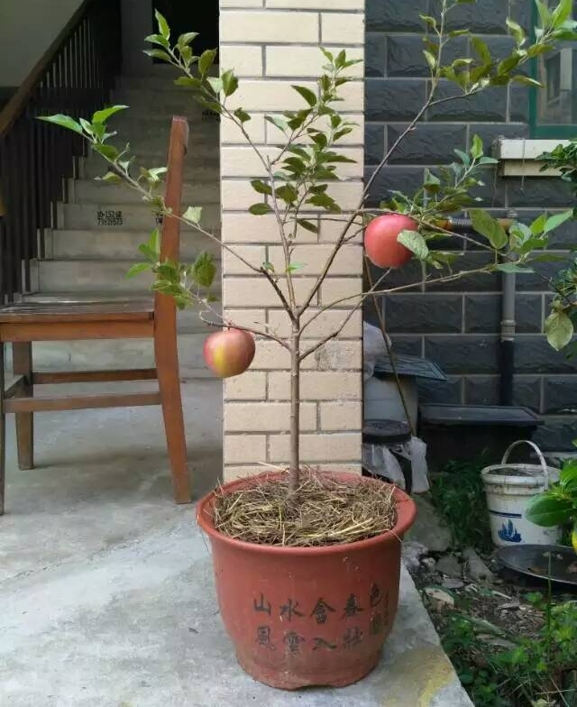 ��ũ��ҵ���ǿ�����˵˵�ҵĴ�ҵ���̵�ʧ��
