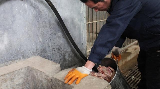 ʵ��������µ�������, Ⱥ�ǿ������Ǿ�＂��＂, �������Ⱦ���