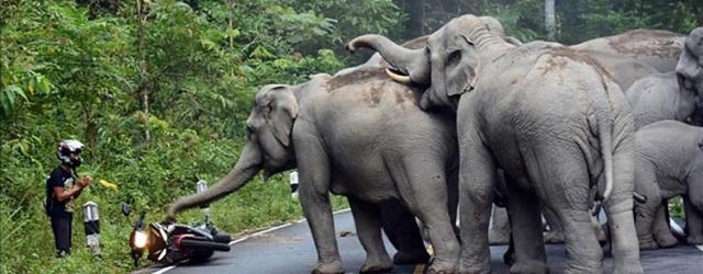 ����Ⱥ��ŭΧ��һ����ͨ�ˣ�֪��ԭ���ž����Ǹ��˴�������