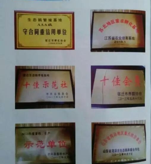 �봴ҵ��ע���ˣ�������׬32���µ���ֳҵƭ���Ѿ��γ�������ҵ��