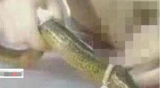 ���ְ��ԣ��������������̾� Ҧ������������