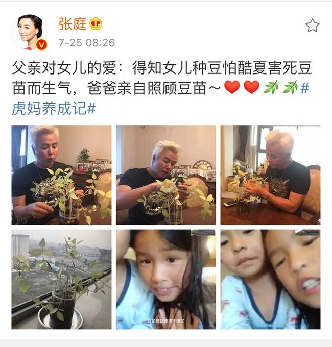 ��ͥɹ�Ϲ���������Ů��ϸ�� �����չ�Ů������