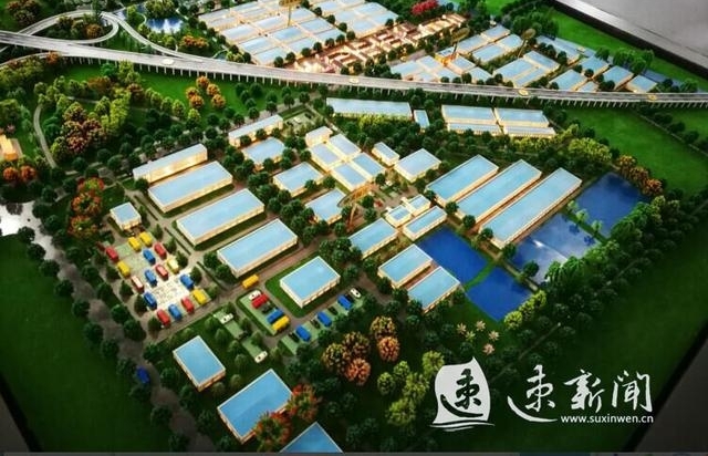 �����ô塱��Ϯ�ɡ��Ա��塱 ̽Ѱ��Ǩ������ɫת�ͷ�չ�İ���
