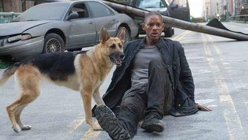 һ���ӿ�ʼʱ�Թ¶���˼������ʤ�Ķ���Ƭ