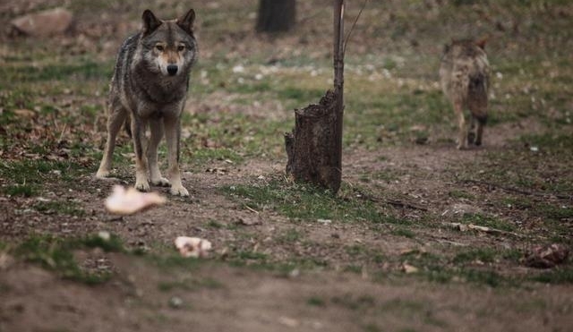 ʵ��������µ�������, Ⱥ�ǿ������Ǿ�＂��＂, �������Ⱦ���