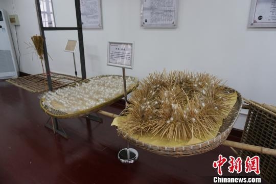 ���ϲ�ɣ����ݿ���ӭ�� չ��ز�ɣ�Ļ���ɫ