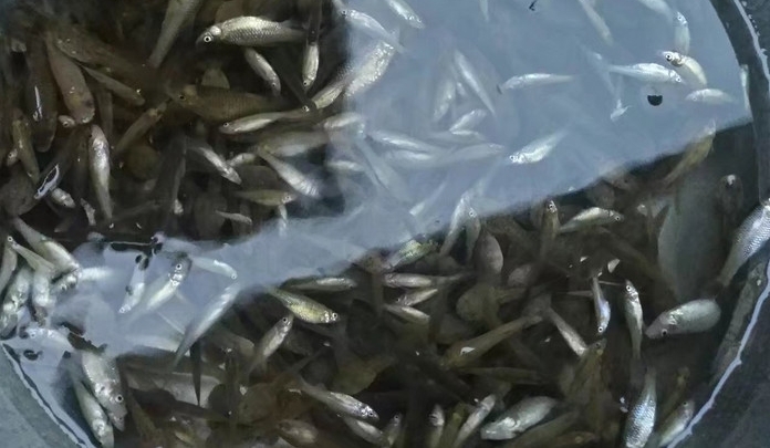 ��ũ������Ƴ���ʳ�������˷��׷�����ǵ�28Ԫһ��