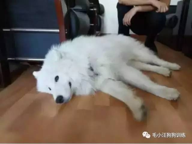 ��ĦҮ��Ի��1���� ����Ѱ����:���Ǳ�������