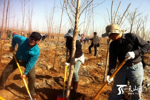 Ԯ���ɲ�������:ʱ�������� ������ֹ��