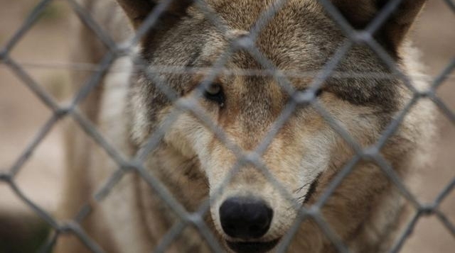 ʵ��������µ�������, Ⱥ�ǿ������Ǿ�＂��＂, �������Ⱦ���