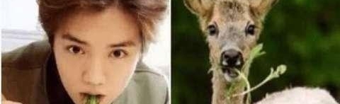 ¹����������¹�ģ�ԭ�������Ȱ�ֻ�Ǹ��գ�