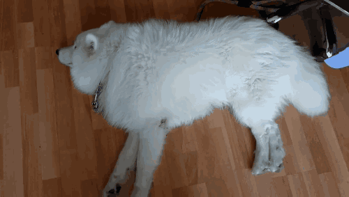��ĦҮ��Ի��1���� ����Ѱ����:���Ǳ�������