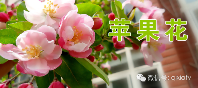 ������ϼ������ĵ��Ӿ磬�㿴����Щ��