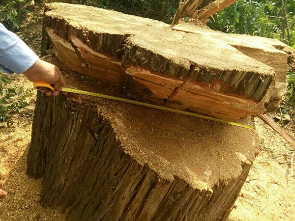 ����һ��ׯ������ͼ�ڡ�ǧ����������� ��������