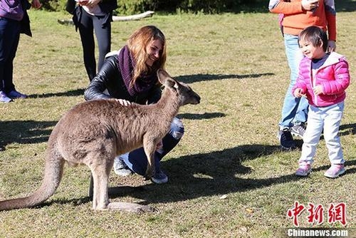 ��ý:���ﲻ����Ŀ�� �й��ο͸�Ը�ڳ��ϻ�Ǯ