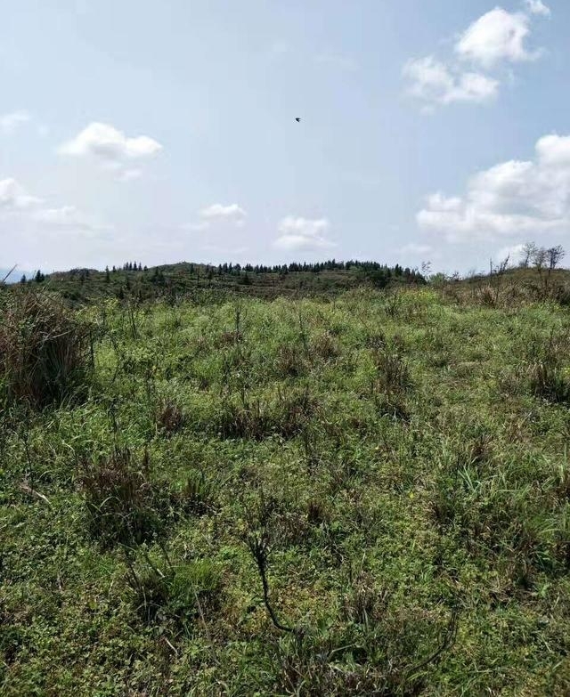 ���ڵ������˶�������������ɽ