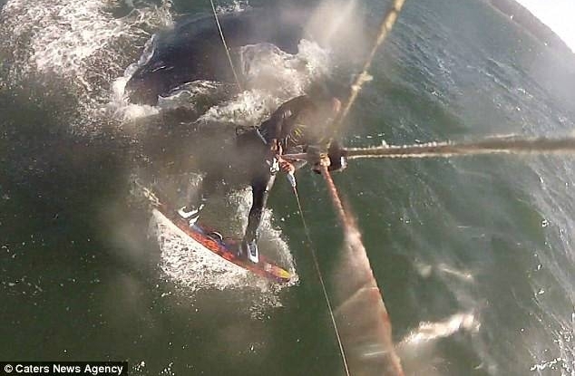 �����գ�����������ͷ�������������