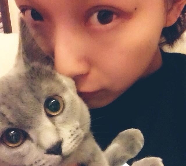 ����ɹ����Щ������������ ���ѣ��ͳ�������