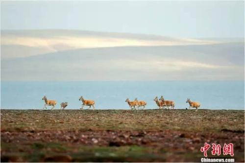 20�꣬��ƴ����������һ����ʵ�Ŀɿ�����