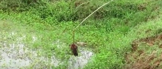 ũ��С������ֵ��㷽ʽ���Ǵ���û������һ��һ��׼