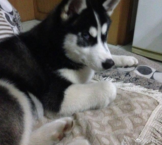 һɽķ֣ĶƵģ£Ȼģ²˵ȴ