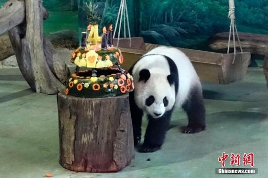 ̨��ѧ������è＂�̰�＂＂����＂������:�����ĳ��˷�