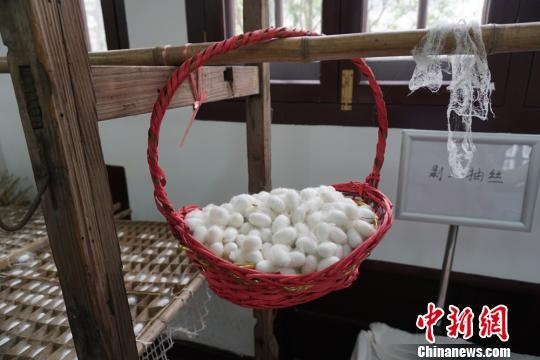 ���ϲ�ɣ����ݿ���ӭ�� չ��ز�ɣ�Ļ���ɫ