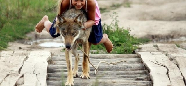 ��Ҳ����˳��һ�棬�׶���˹10��Ů����Ұ��5�갮������