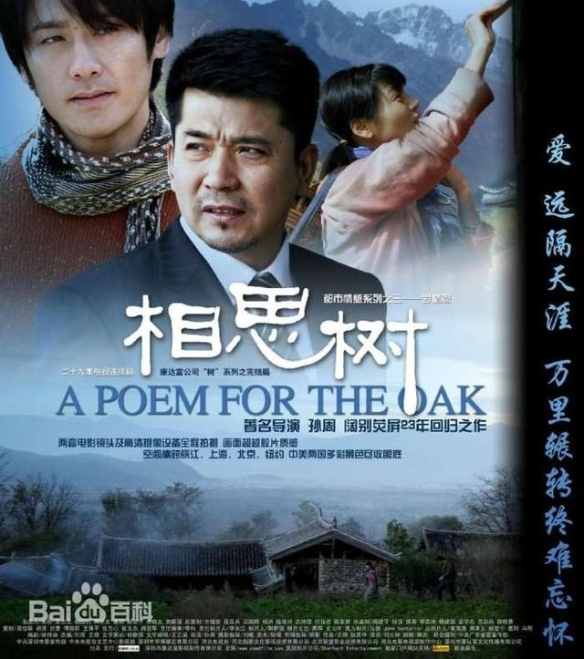 ���㲨���Ҳ��Ǹ����˵��ˣ�ʮ�󾭵��ɫ�������ǹ�֮����