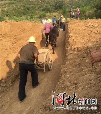 ���䰲 ��֤�ؽ��ٶ�